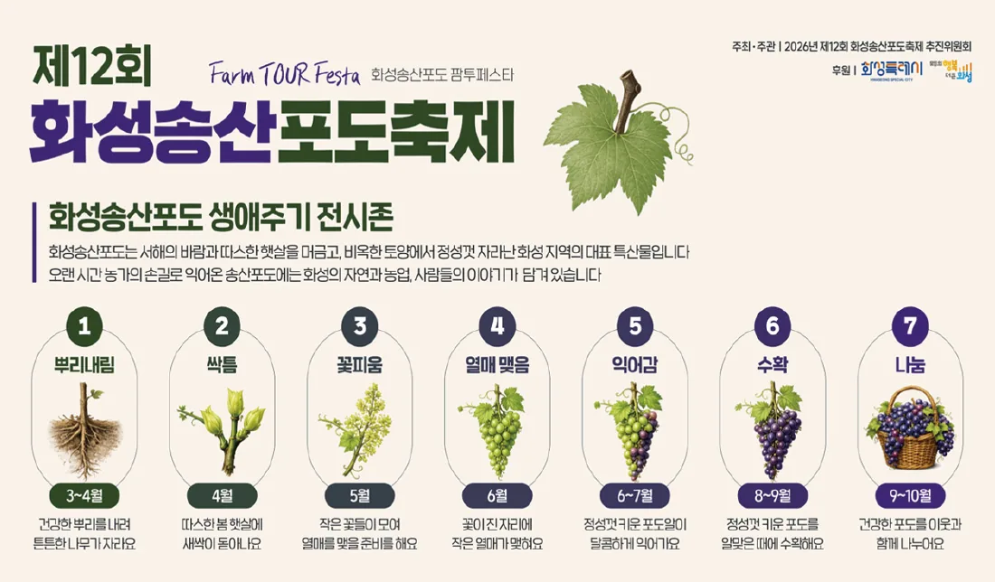 화성송산포도의 생애주기 7단계 전시 안내