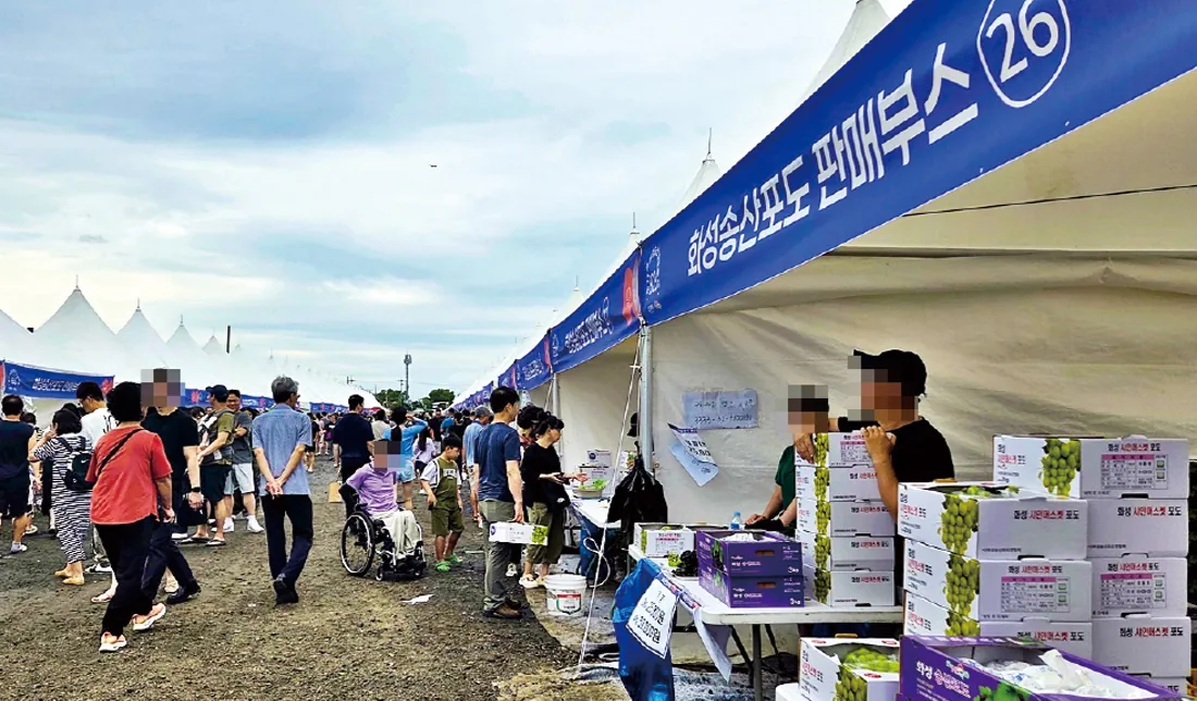화성송산포도 판매행사 부스와 방문객